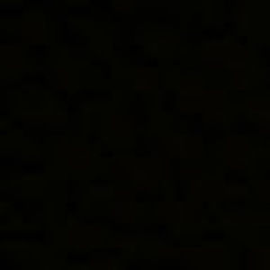 Meet your Posher, Ashna